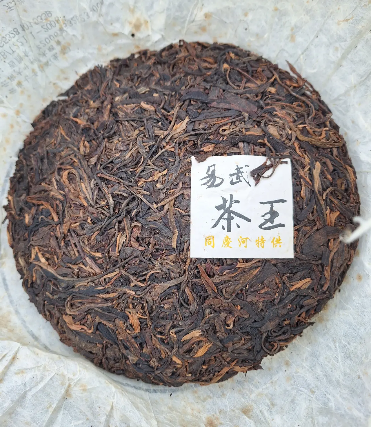 ChenGuangHeTang TongQingHe 2009