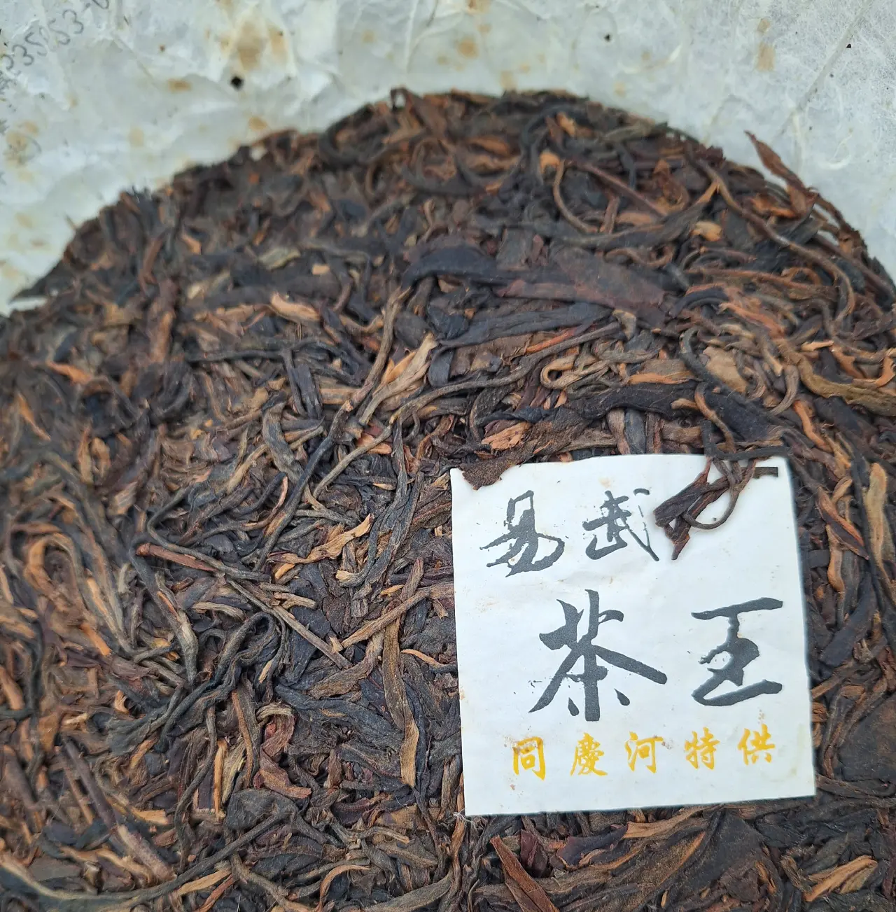 ChenGuangHeTang TongQingHe 2009