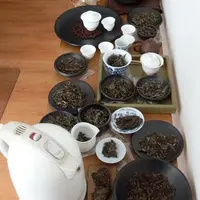 Pu sampling circa 2012